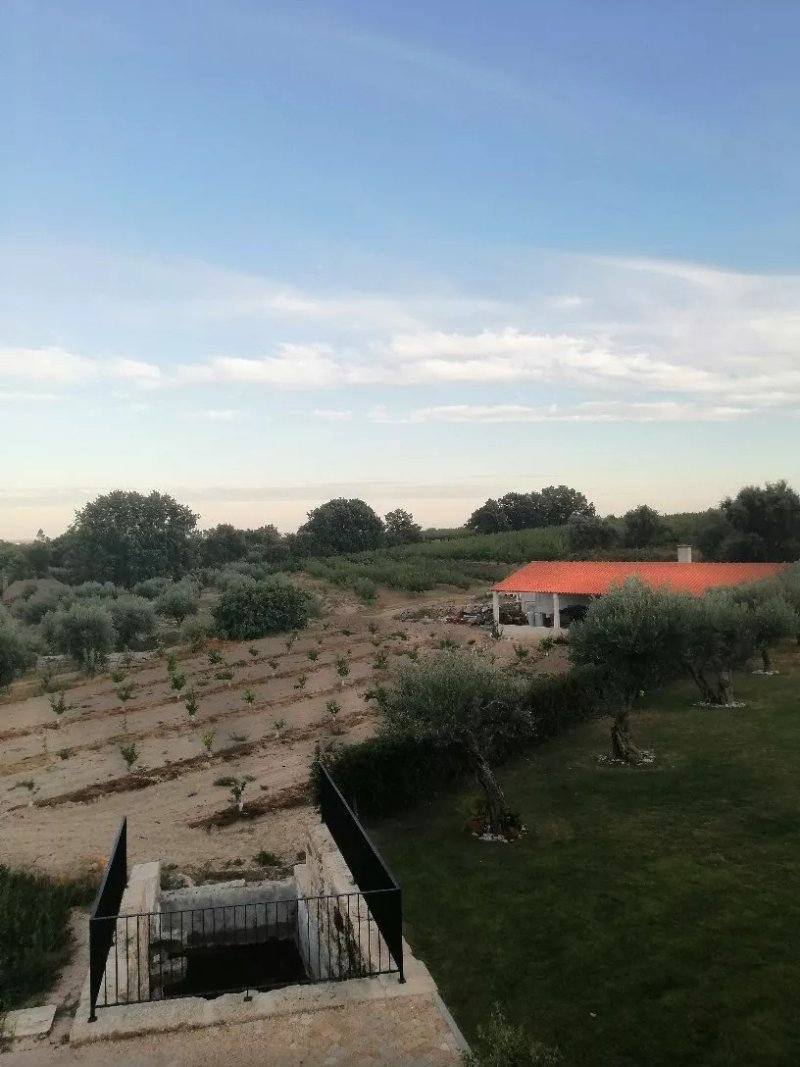 Carvalhal Redondo Farm House