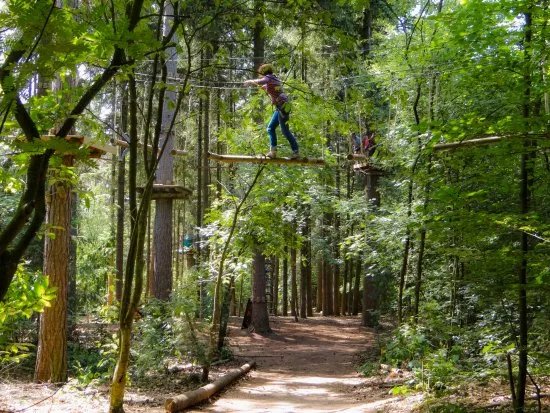 Klimbos Bergen Op Zoom