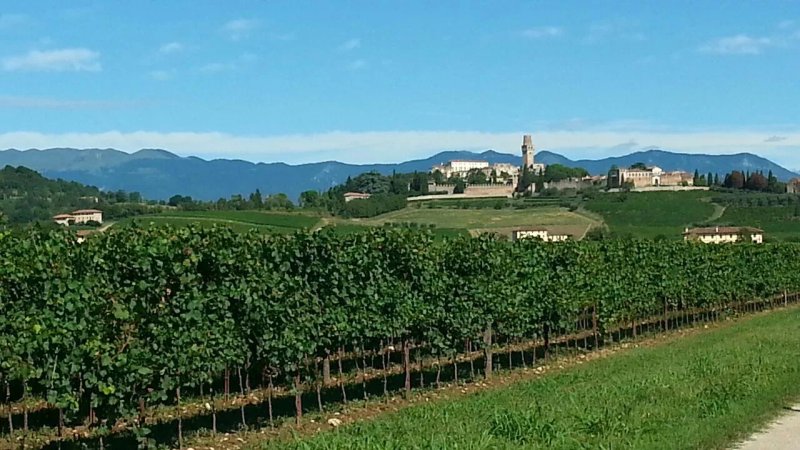 Agriturismo Borgoluce