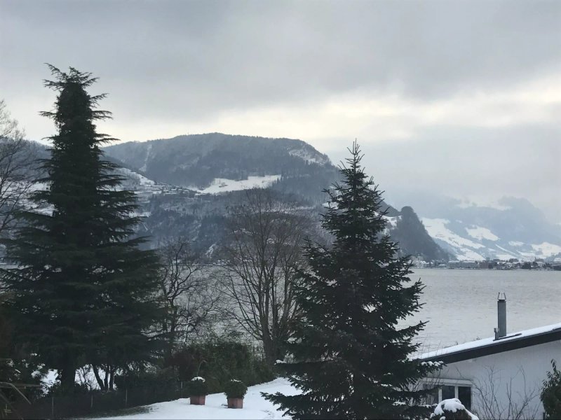 Seehus - Molo 58