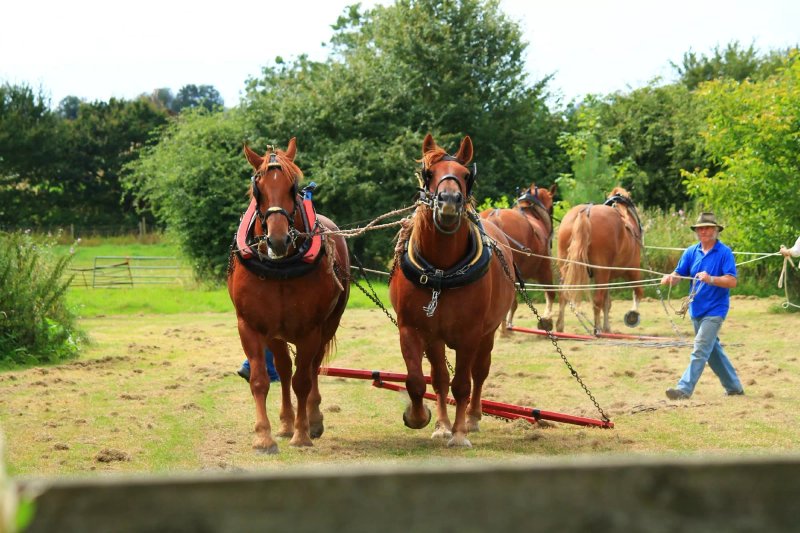 Rede Hall Farm