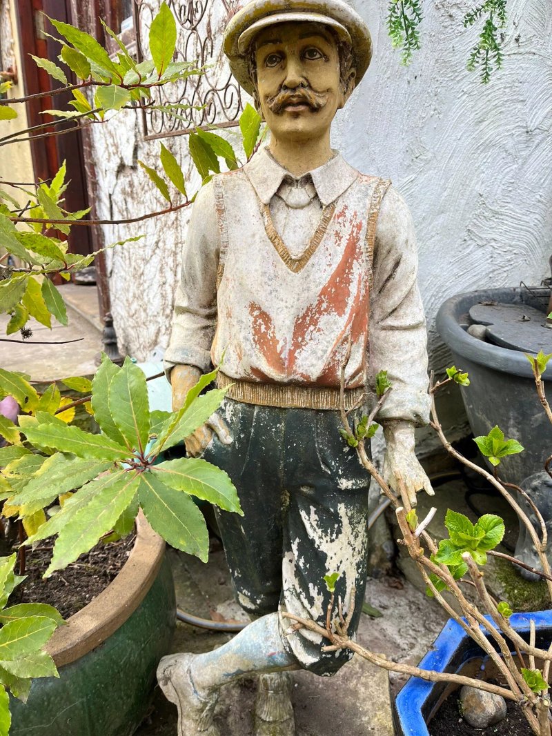 Mimosa Tea Garden