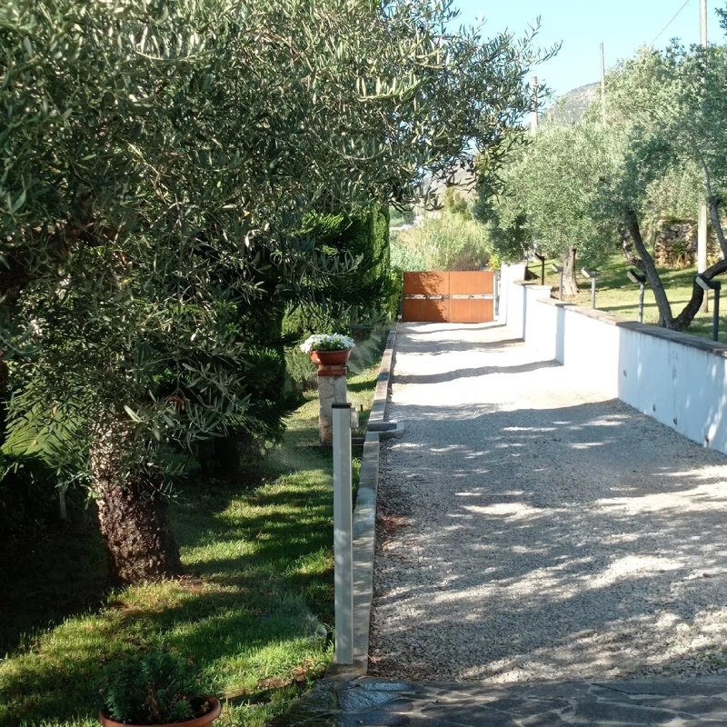 Sul lago dorato