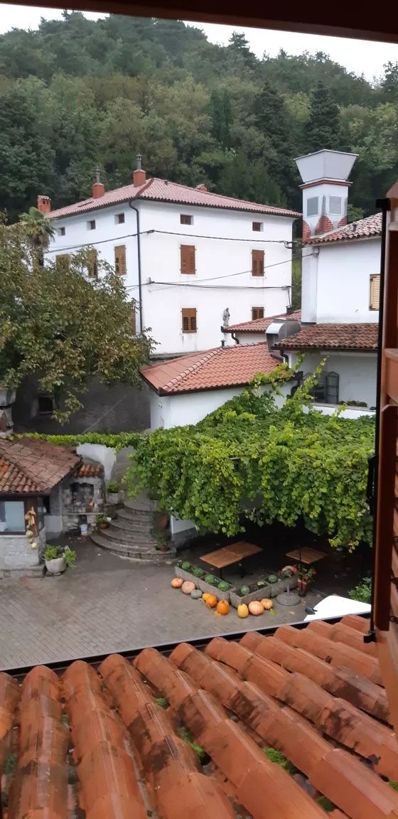 Tourist Farm Arkade