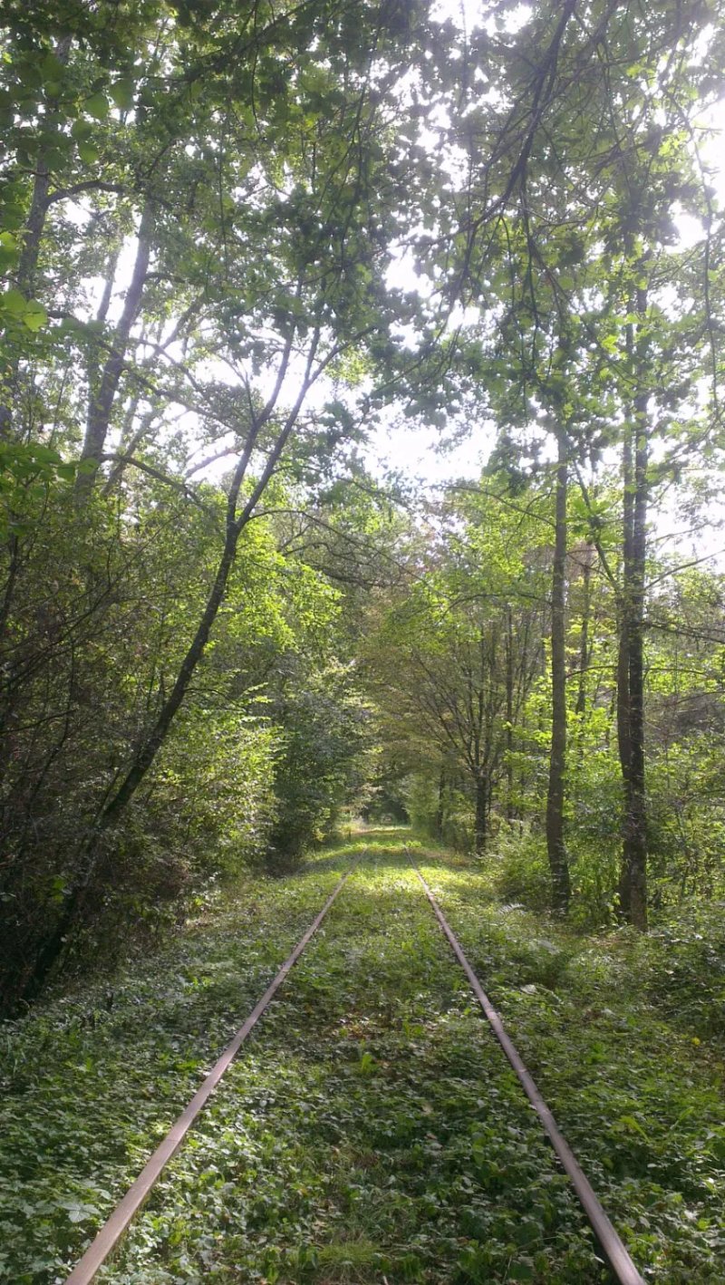 Vélorail du Val de Mortagne