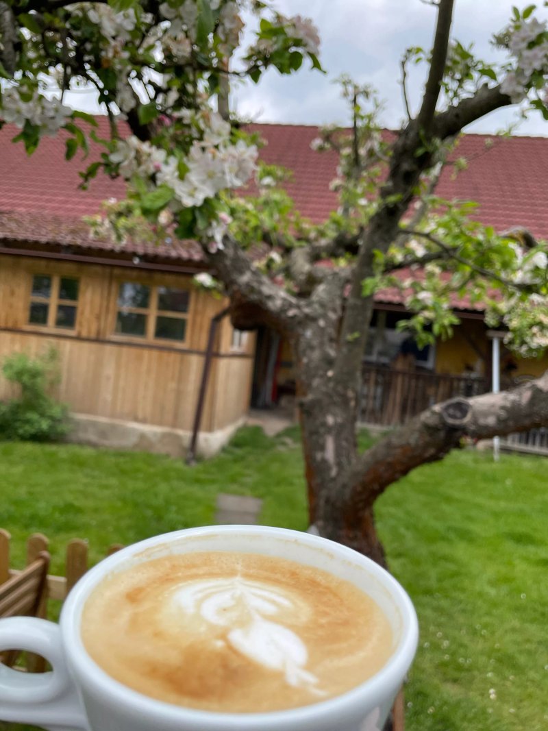 Kontas Cafe