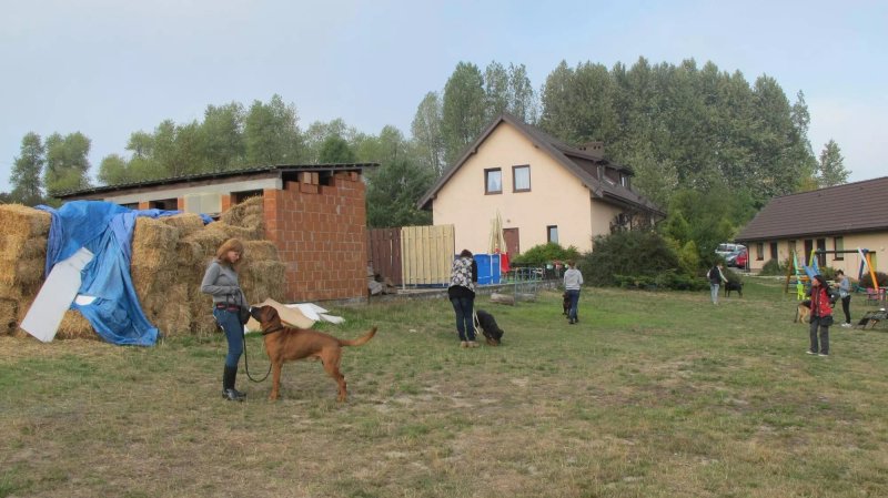 Gospodarstwo Agroturystyczne Między Zamkami