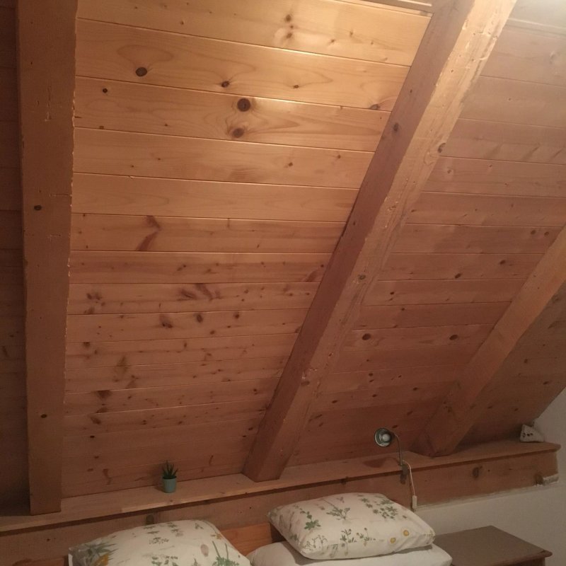Guesthouse Bor