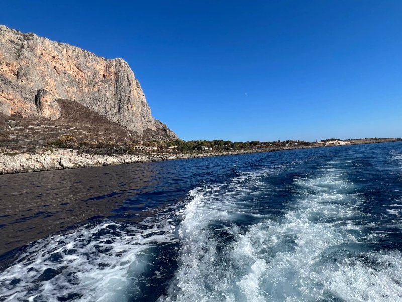 Hippocampus Sea Services