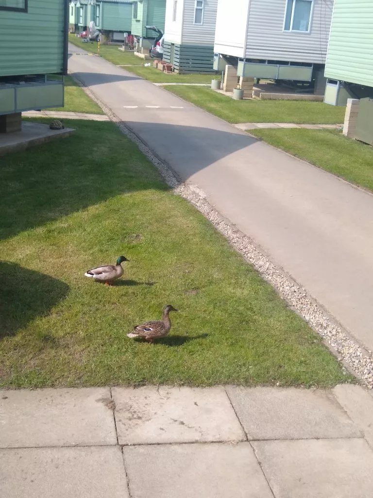 Weir Holiday Park