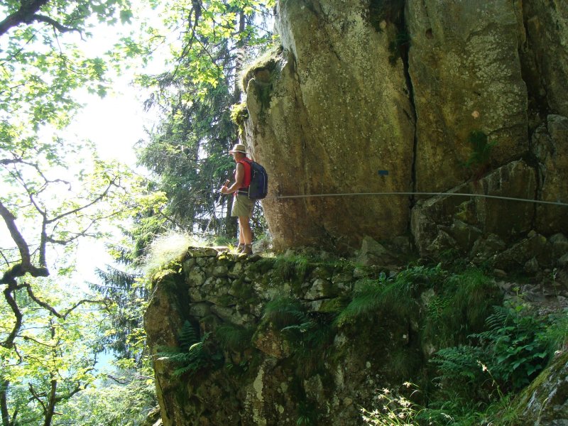 Gite Le Nid D'Hirondelle
