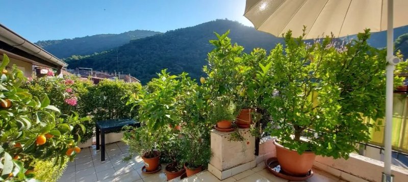 B&B dei Doria