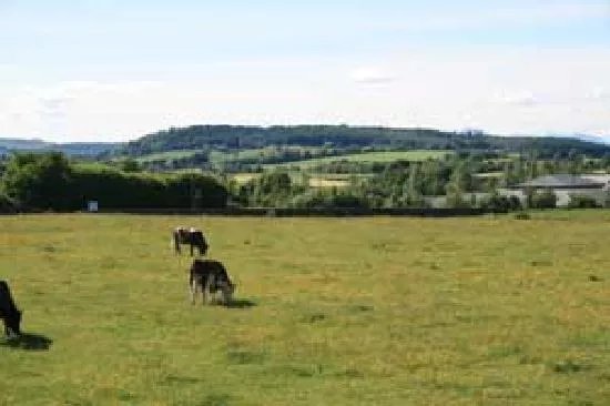 Hillhead Farm Lets