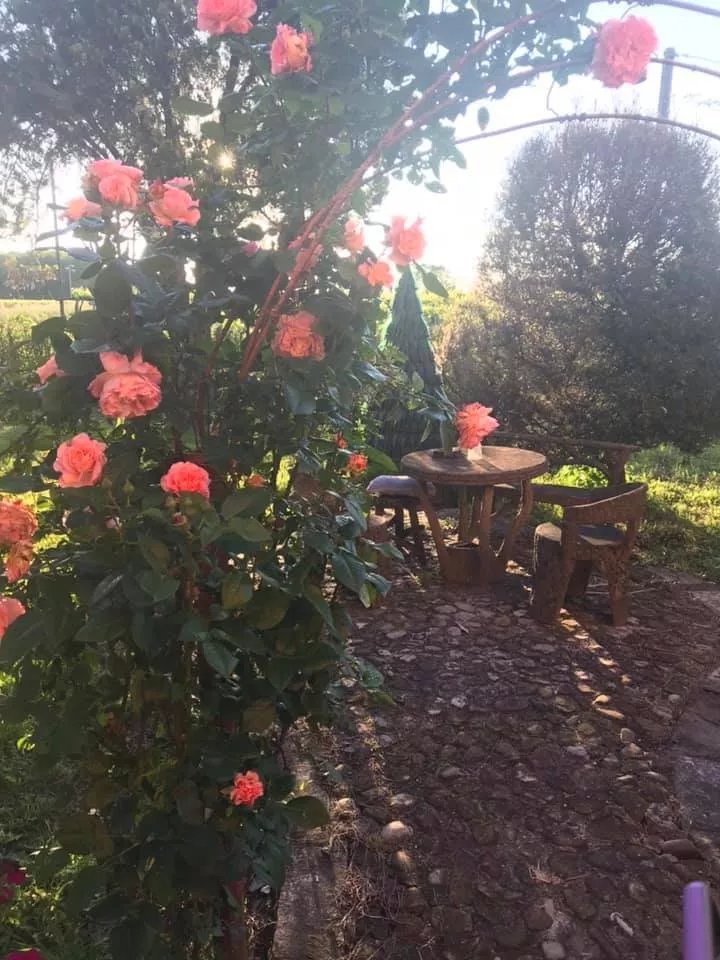 Agriturismo Villa Castellazzo