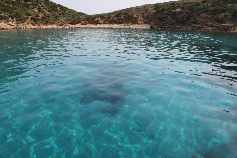 Sea Dream - Boat Rentals