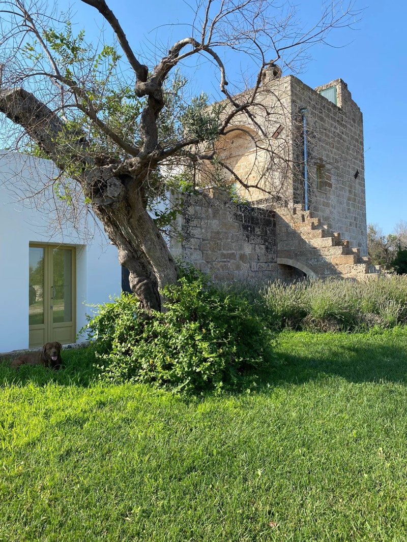 Agriturismo Casina Spiggiano