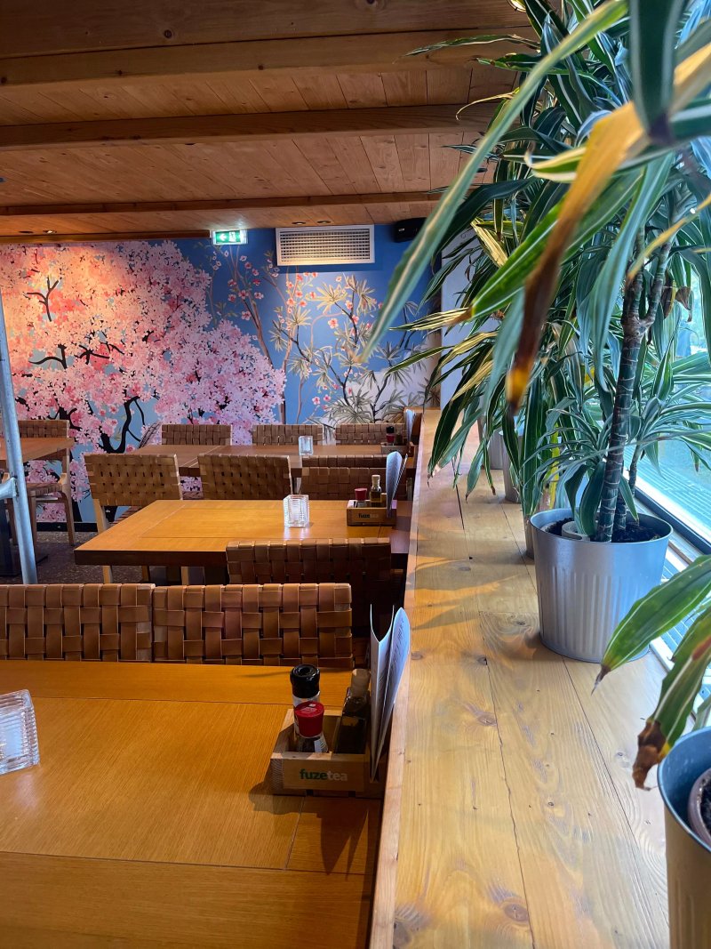 Olympia Kitchen Bar