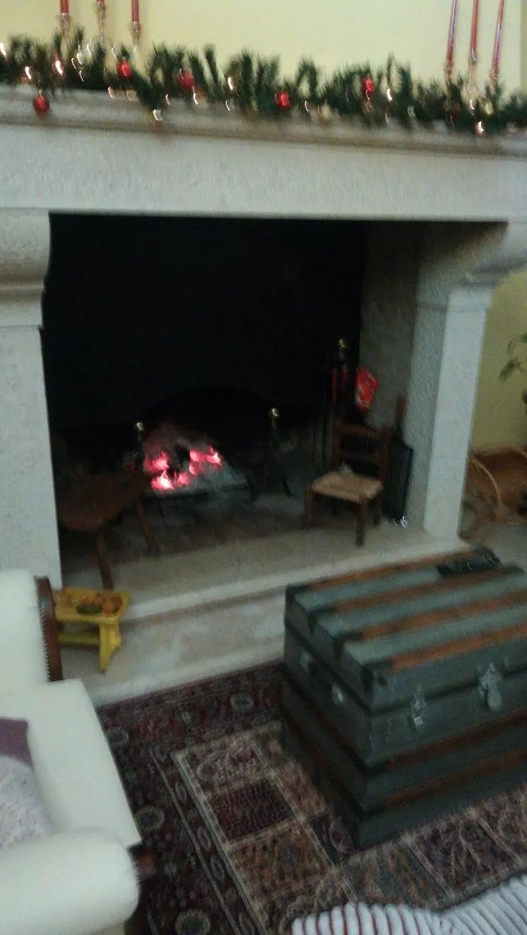 The Forest House