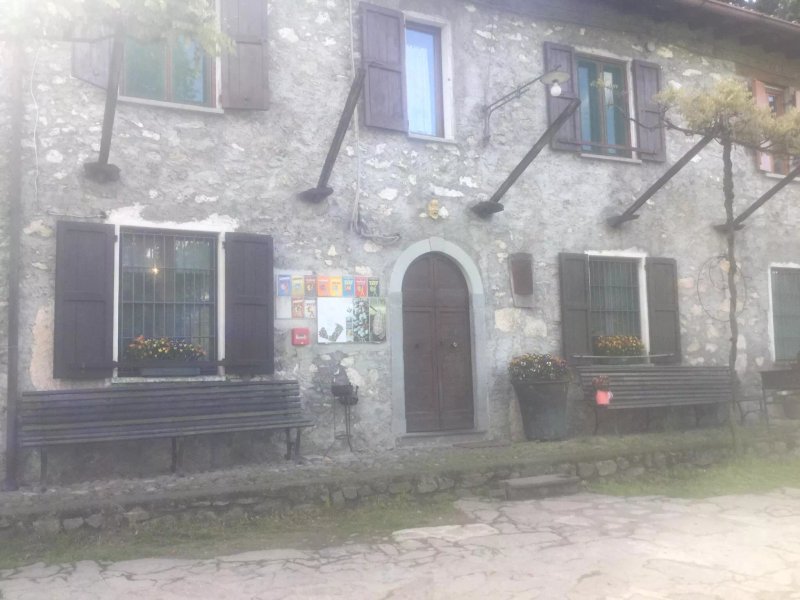 Agriturismo Le Frise