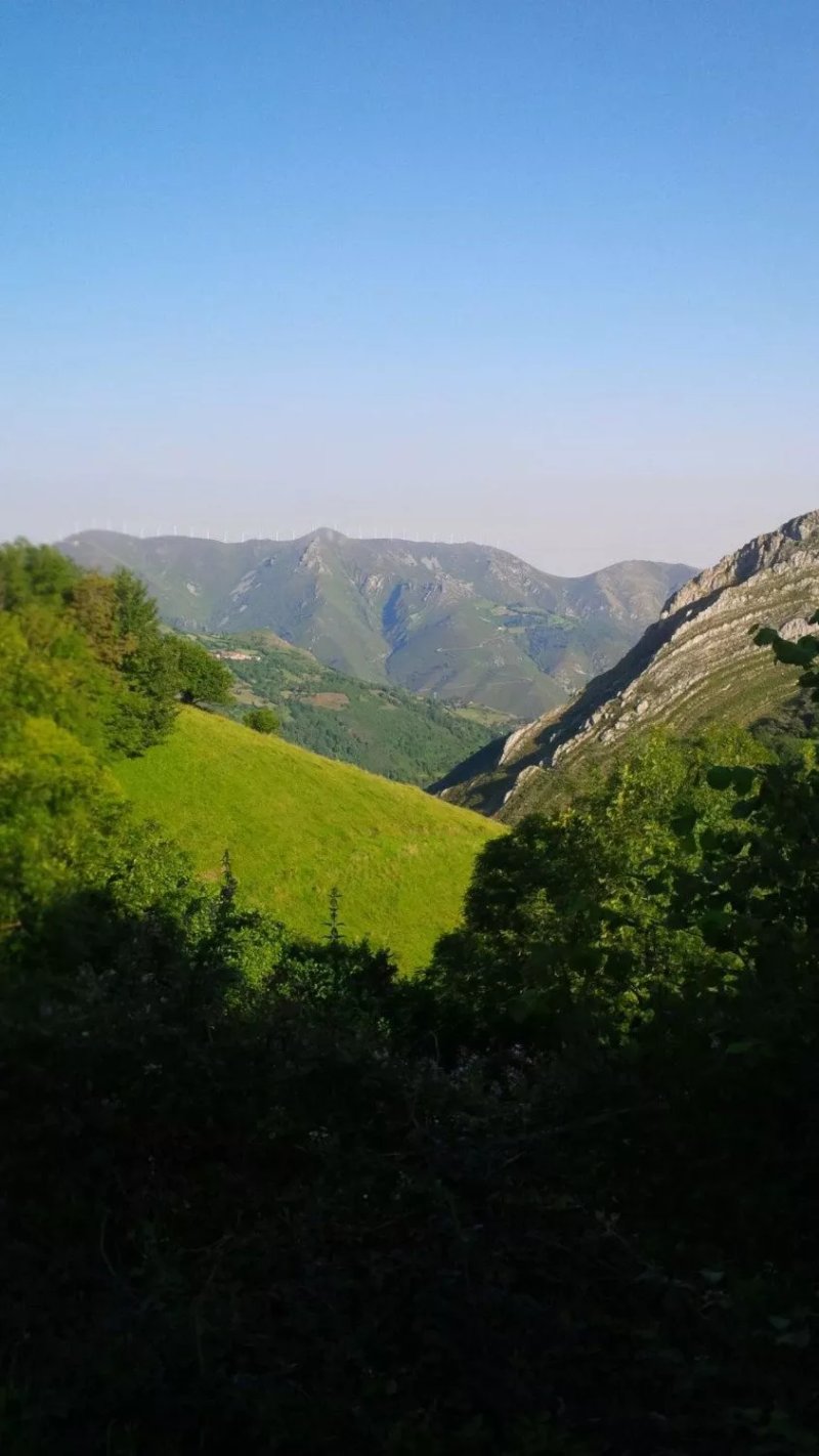 Dolia Rural
