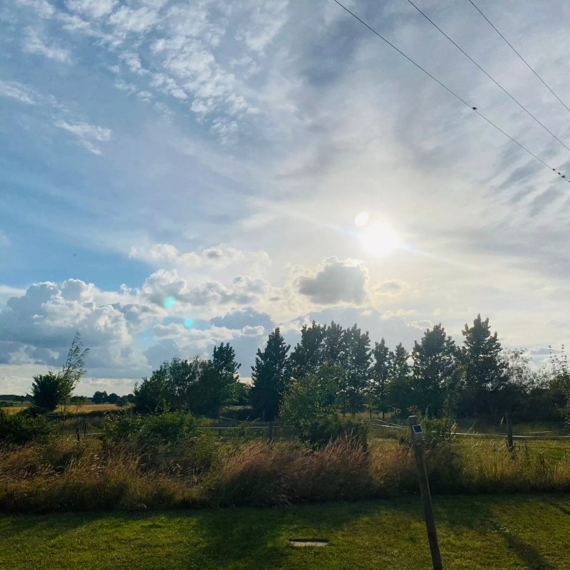 Friends Farm Shepherds Hut Holidays