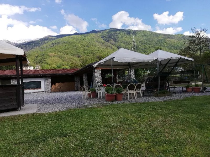 Agriturismo Roncadizza Lumaghera