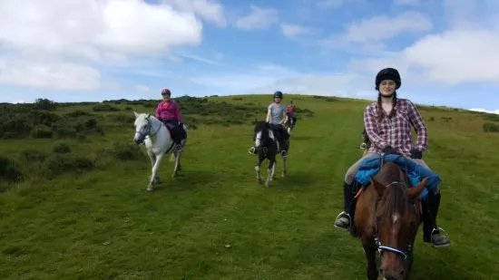 Freerein Riding Holidays