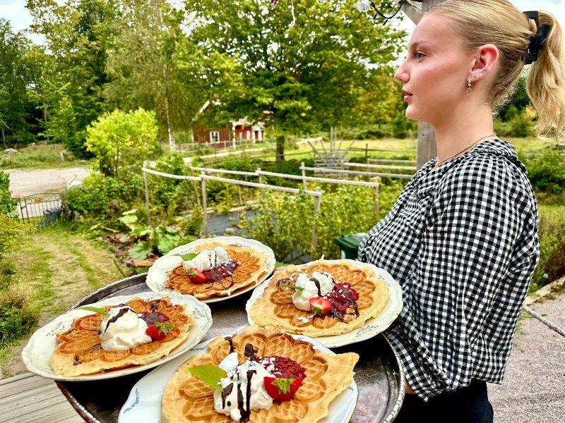 Vaffelgarden
