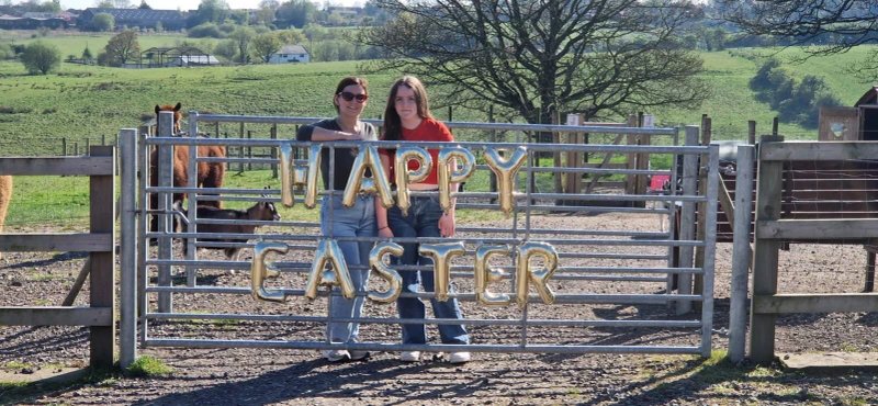 Meadowcroft Farm Alpacas