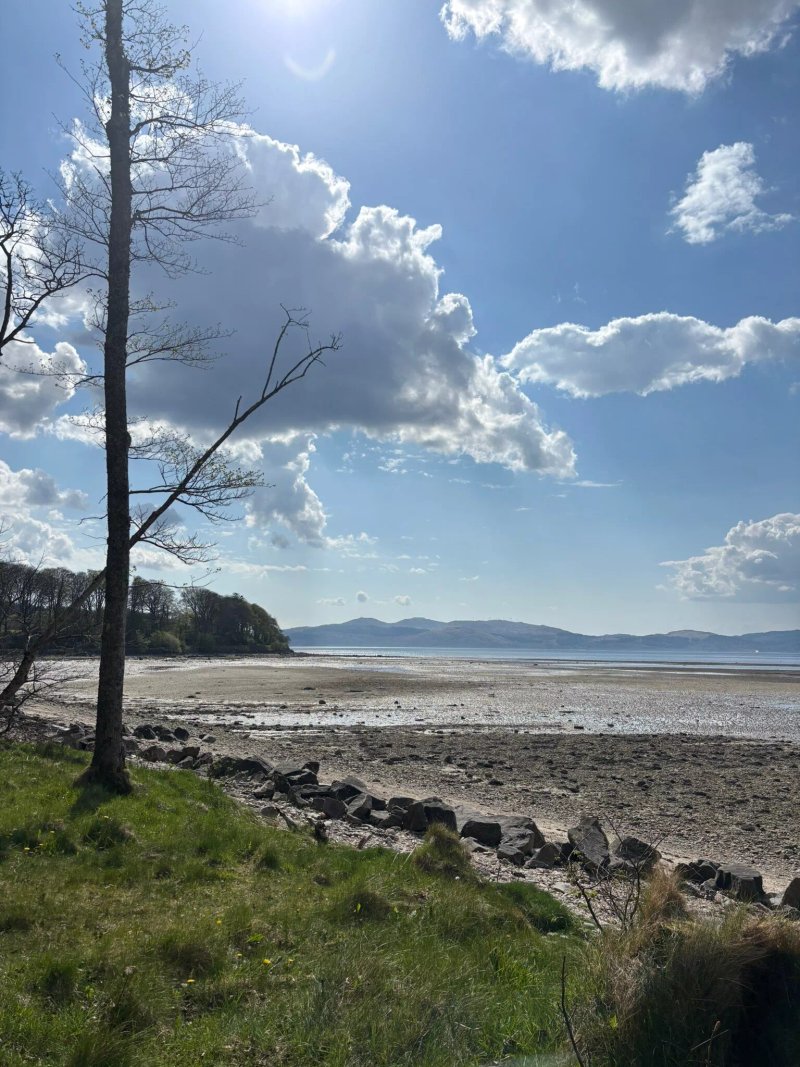 The Oystercatcher
