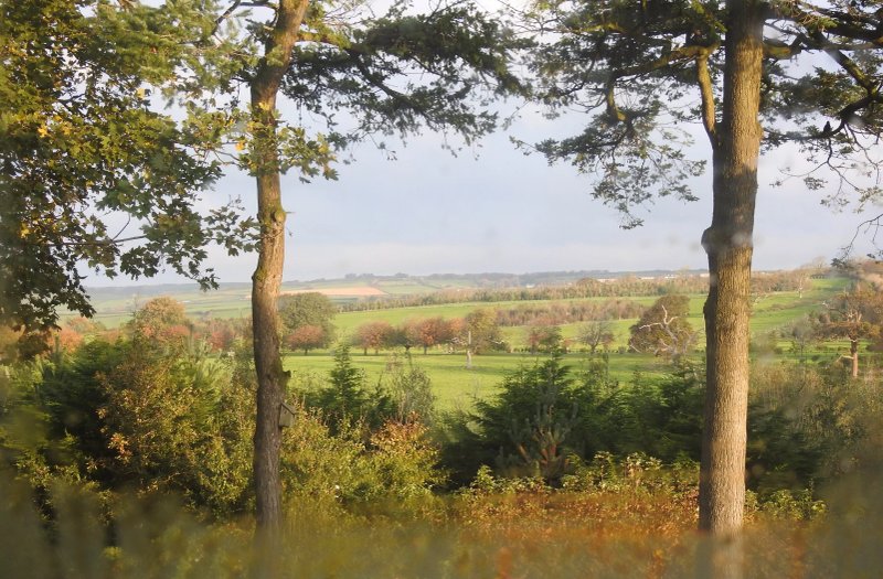 The Spinney 18th Century Country Guest House