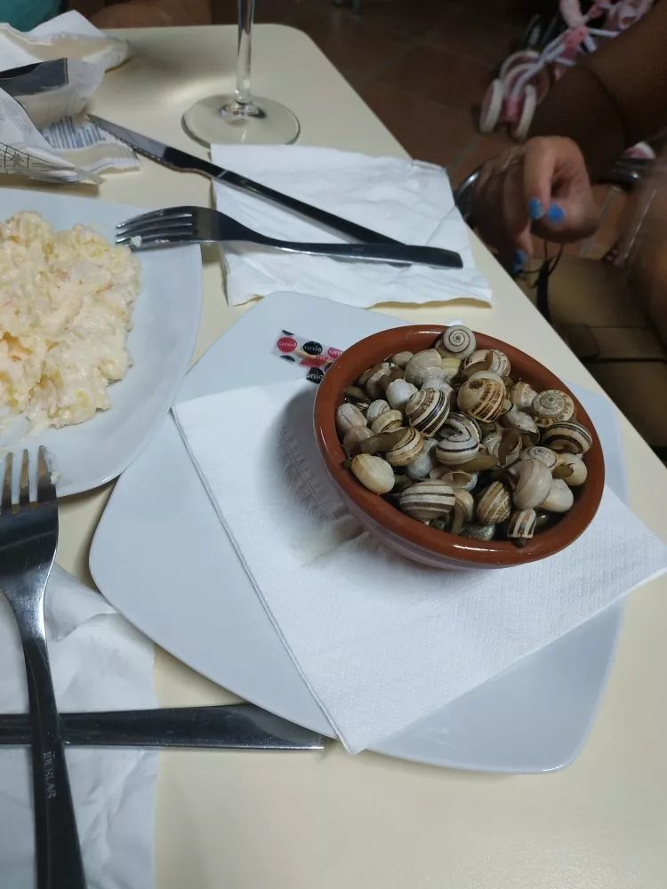La Tribu