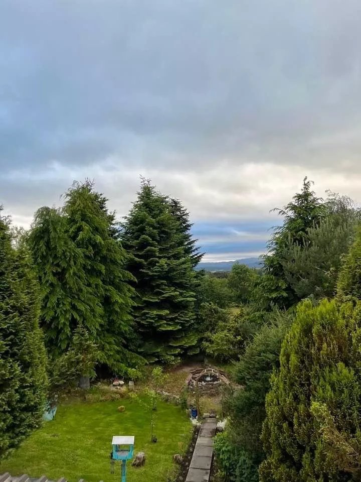 Rosegrove Guest House