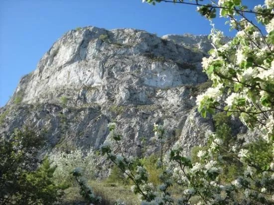 Pension  El Pirineo