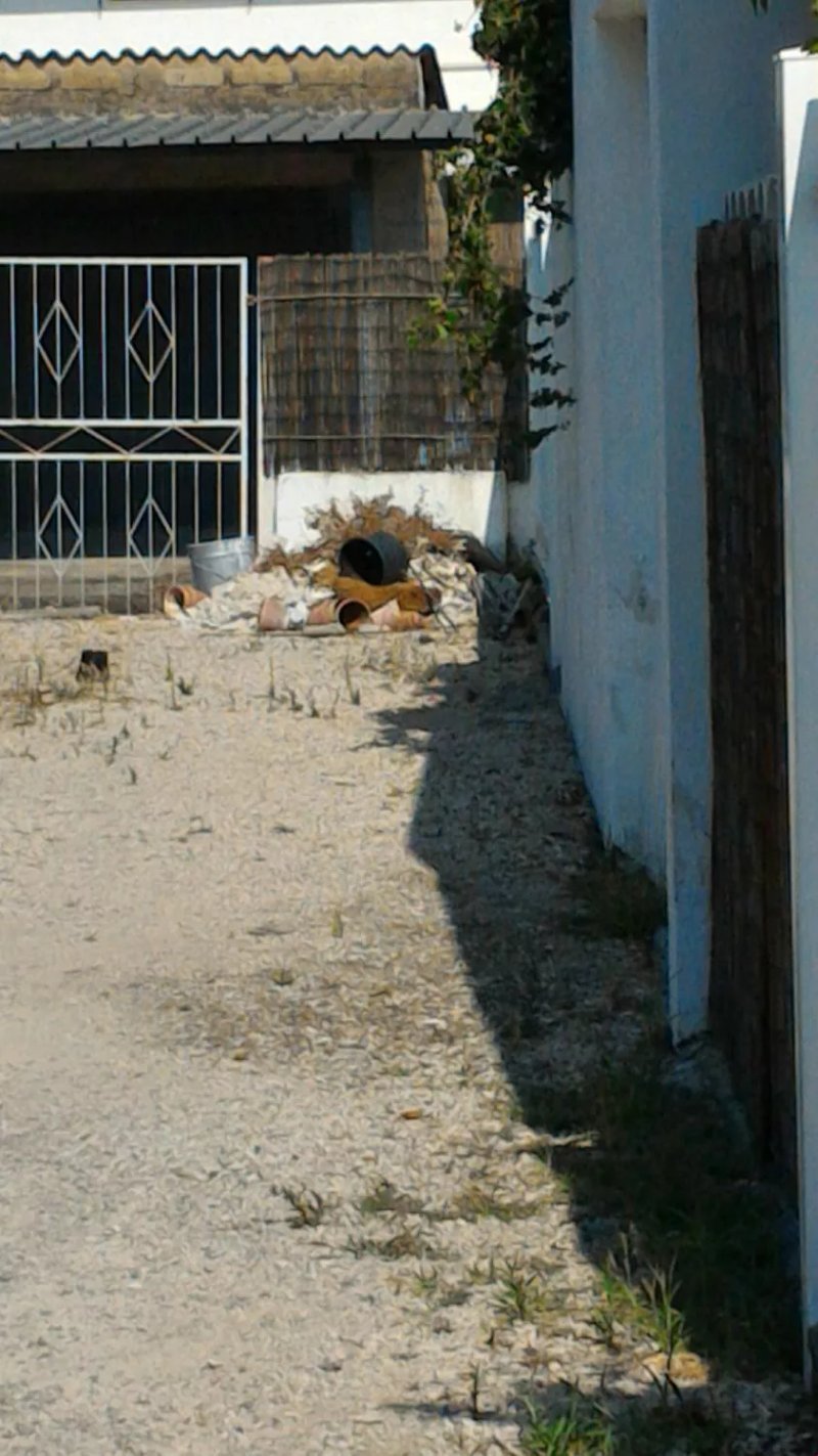 Demare