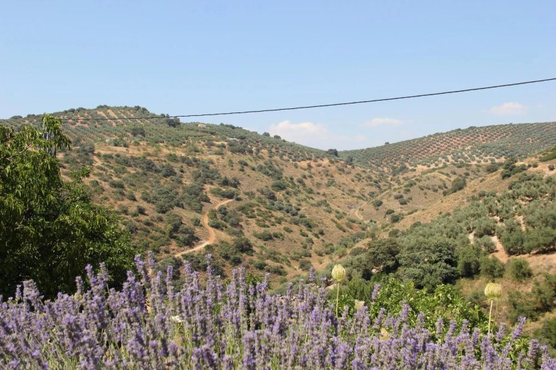 Cortijo Las Rosas