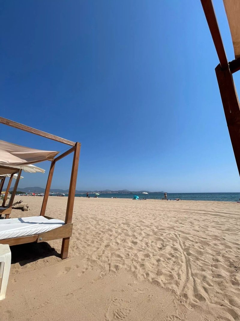 Bambusa Plage