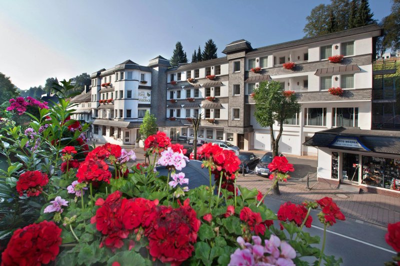 Hotel Furst von Waldeck