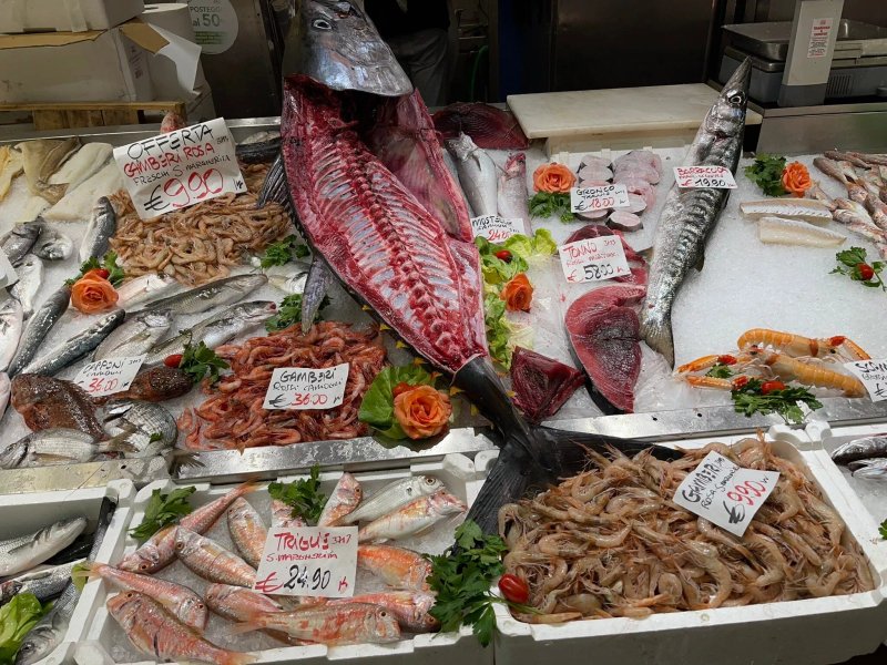 MOG Mercato Orientale Genova