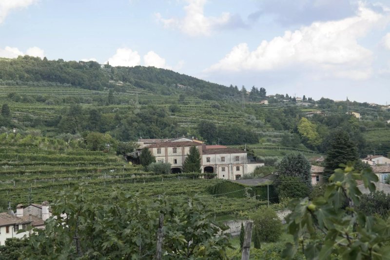 Agriturismo La Bella Vigna