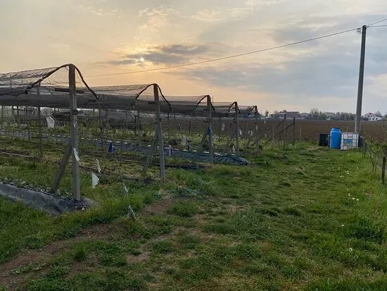 Oasi della Restara