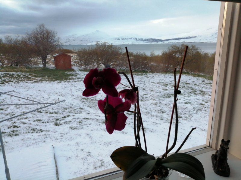 The Viking Country Club Guesthouse