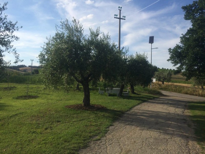 Tenuta Morganti