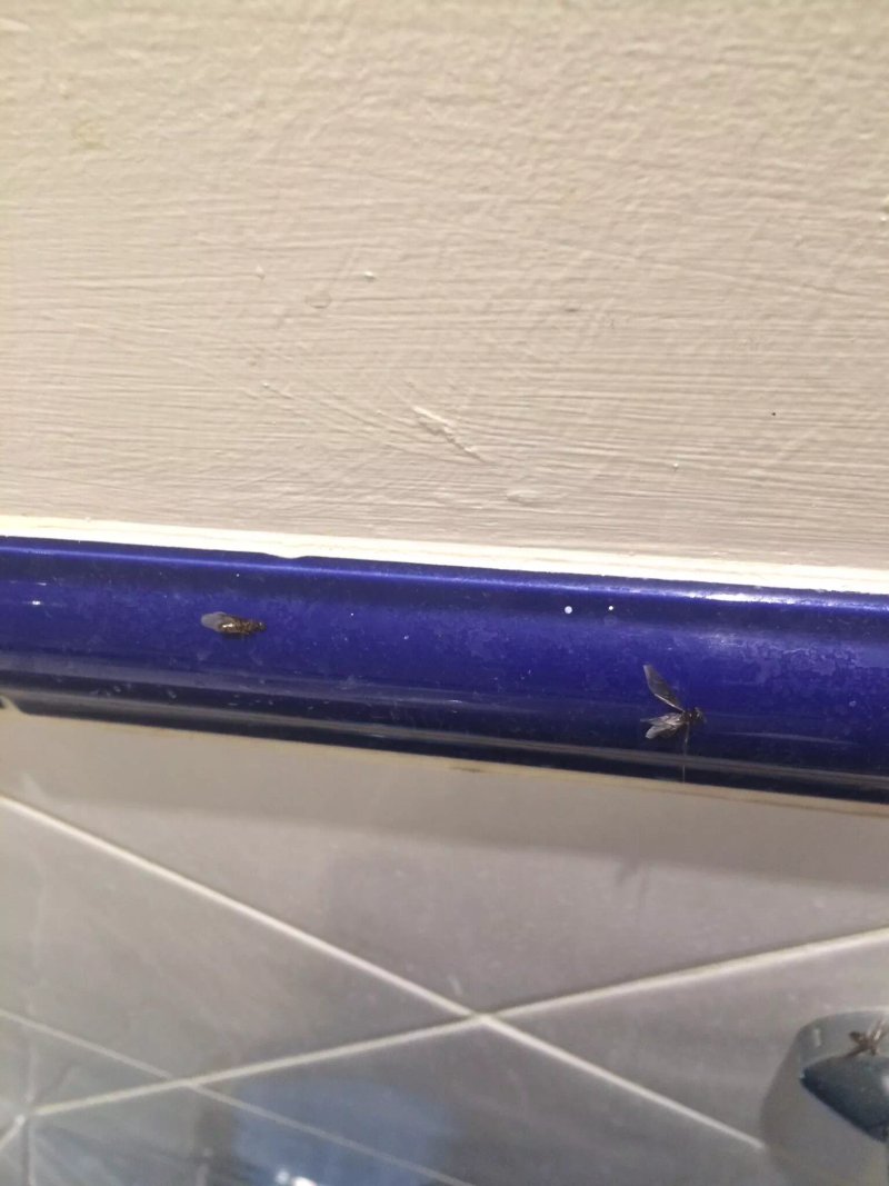 Travelodge London Chigwell