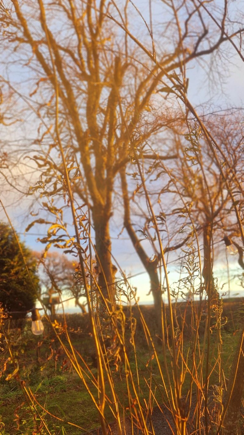 West Fife Pods