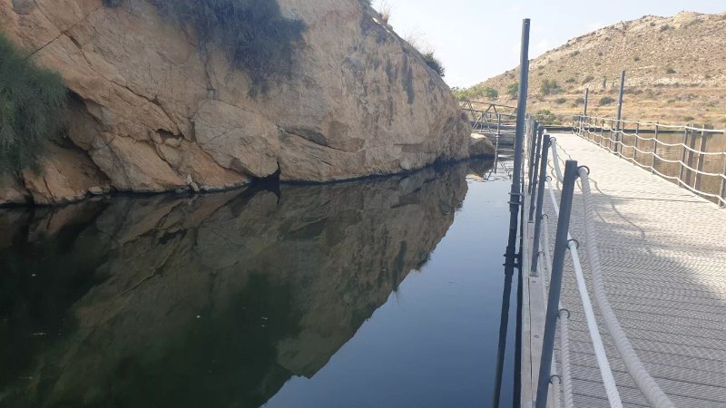 Pantano De Elche