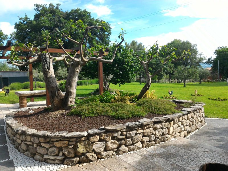 Scardalano Resort