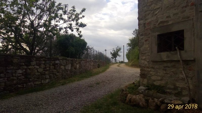 Borgo Carpineto