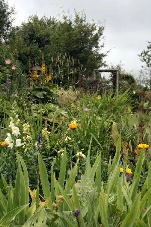 Highfield Bed & Breakfast