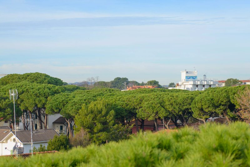Palace Hotel Domus Mea Riccione